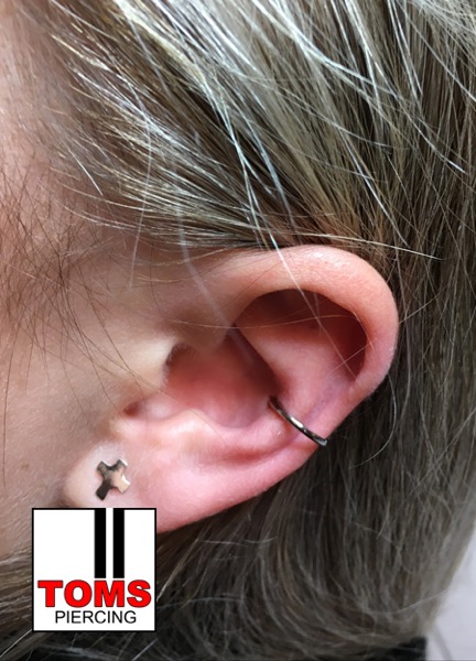 Conchpiercing2.jpg