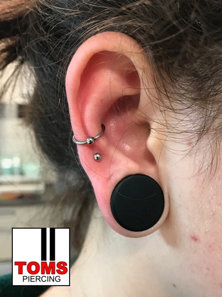 Conchpiercing16.jpg