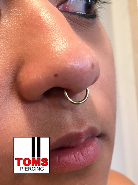 Septumpiercing8.jpg